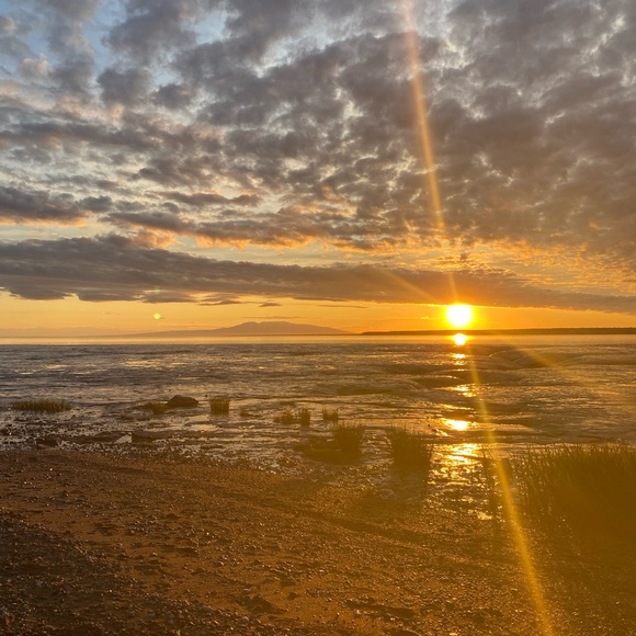 Meet your Posher, Morgan - Picture 2 of 4